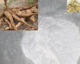 中国木薯淀粉行业重点企业分析