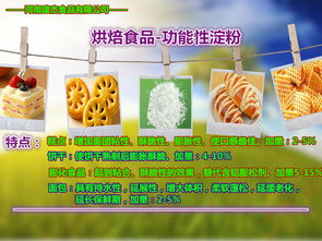 木薯变性淀粉 河南省食品产业升级的新商机